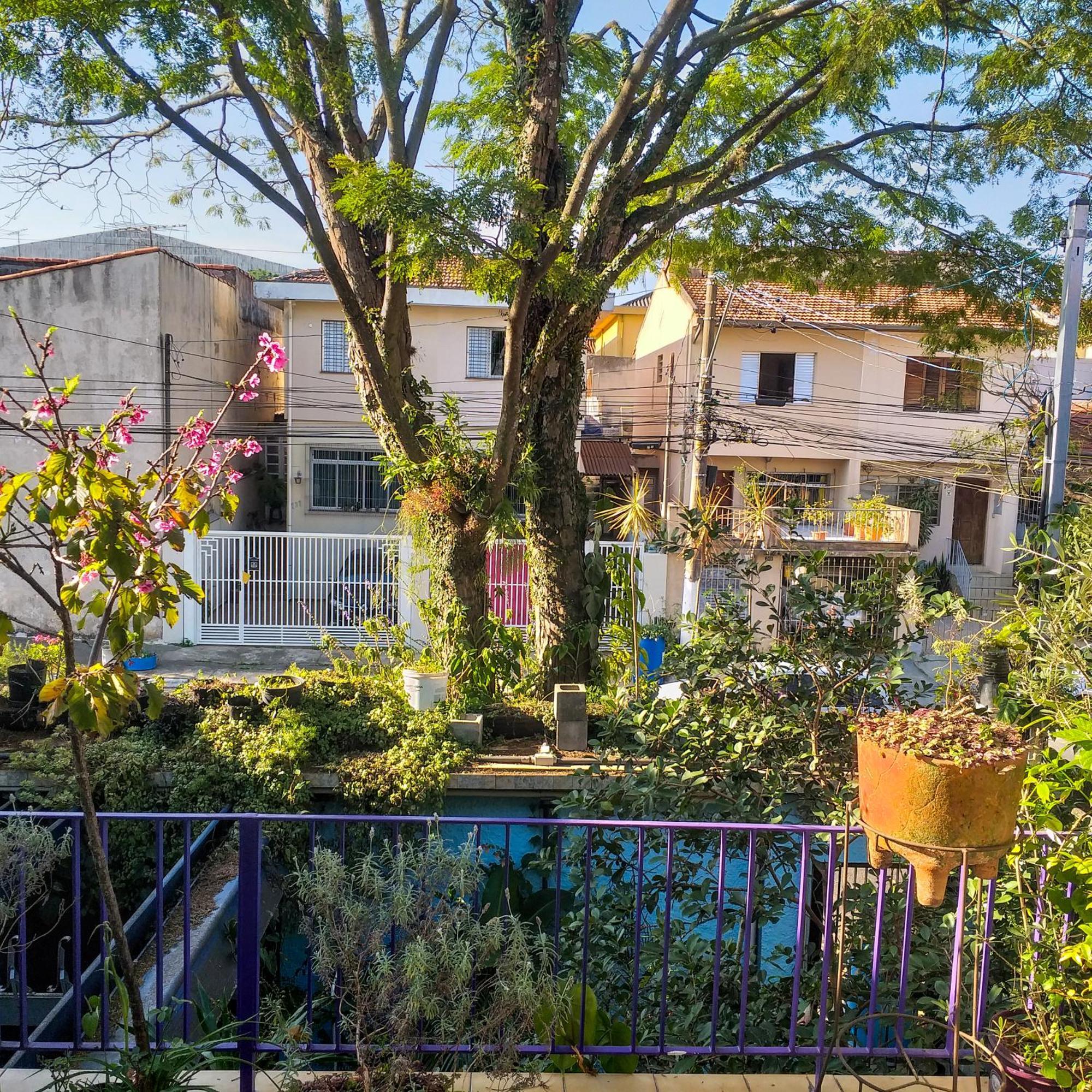 Micasa Hostel - Congonhas Sao Paulo Dış mekan fotoğraf