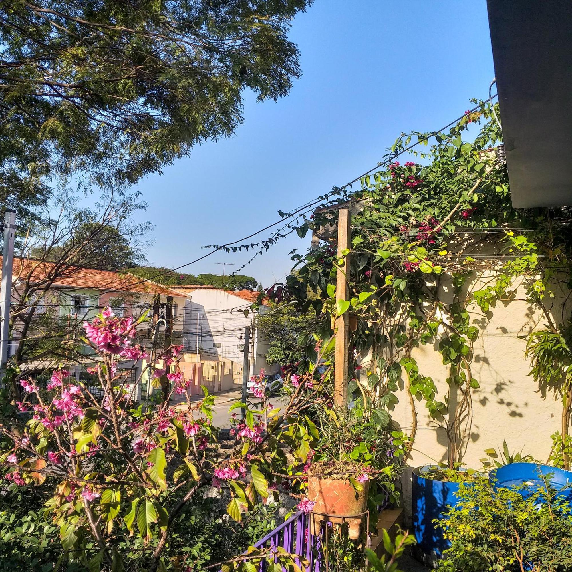 Micasa Hostel - Congonhas Sao Paulo Dış mekan fotoğraf